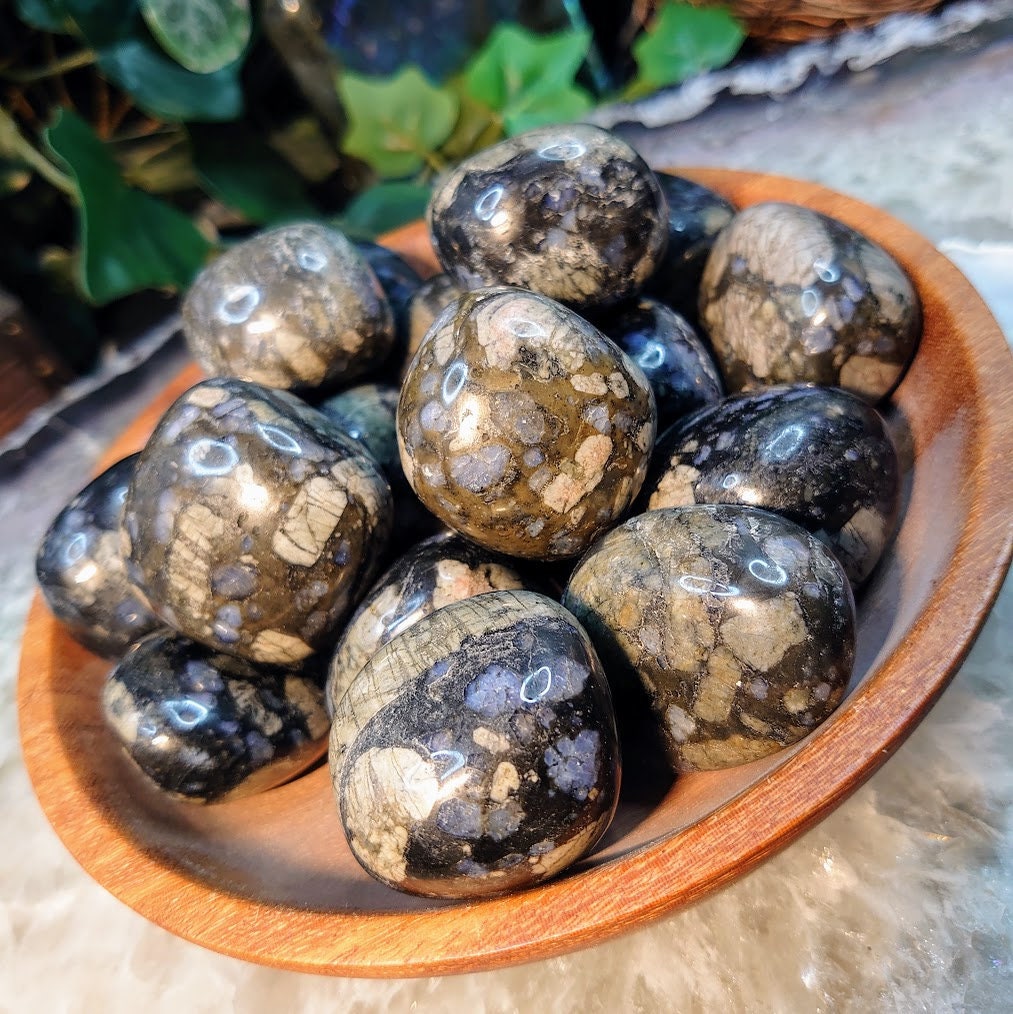 Large Glaucophane Tumbled Stones from Wisconsin, USA / Polished Pebble for Crystal Healing & Grids / Reiki / Meditation / Energy Work / Gift