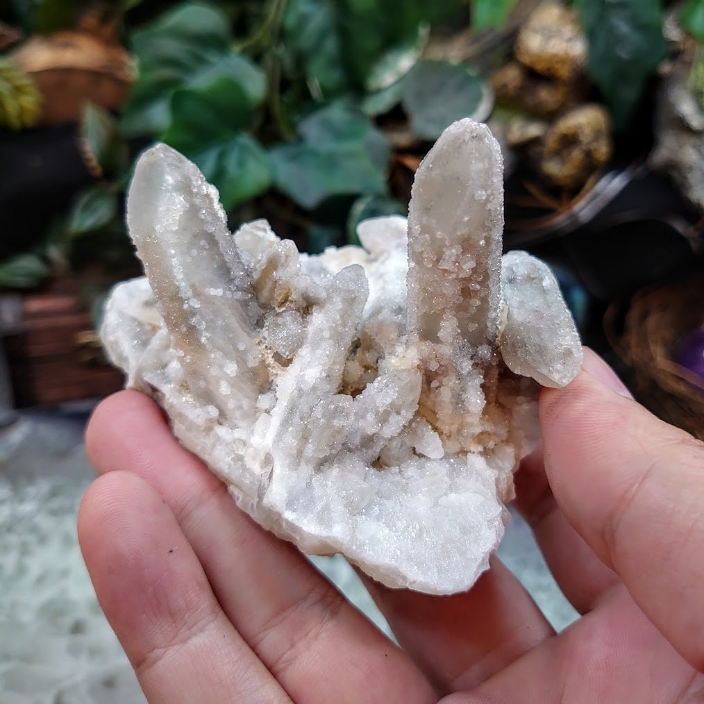 Witch Finger Quartz Cluster from Boekenhouthoek, Mpumalanga, South Africa for Home and Altar Decor / 171g / Reiki / Collection