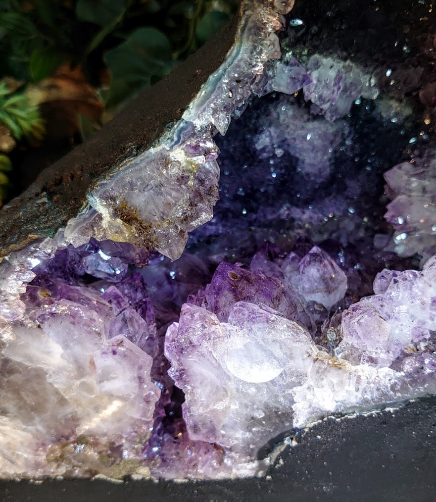 Epic Large Amethyst Geode Cathedral from Brazil for Collection / 8,854g / Gifts / Altar Decor  / Delicious Prism Grapes / Large Museum Size