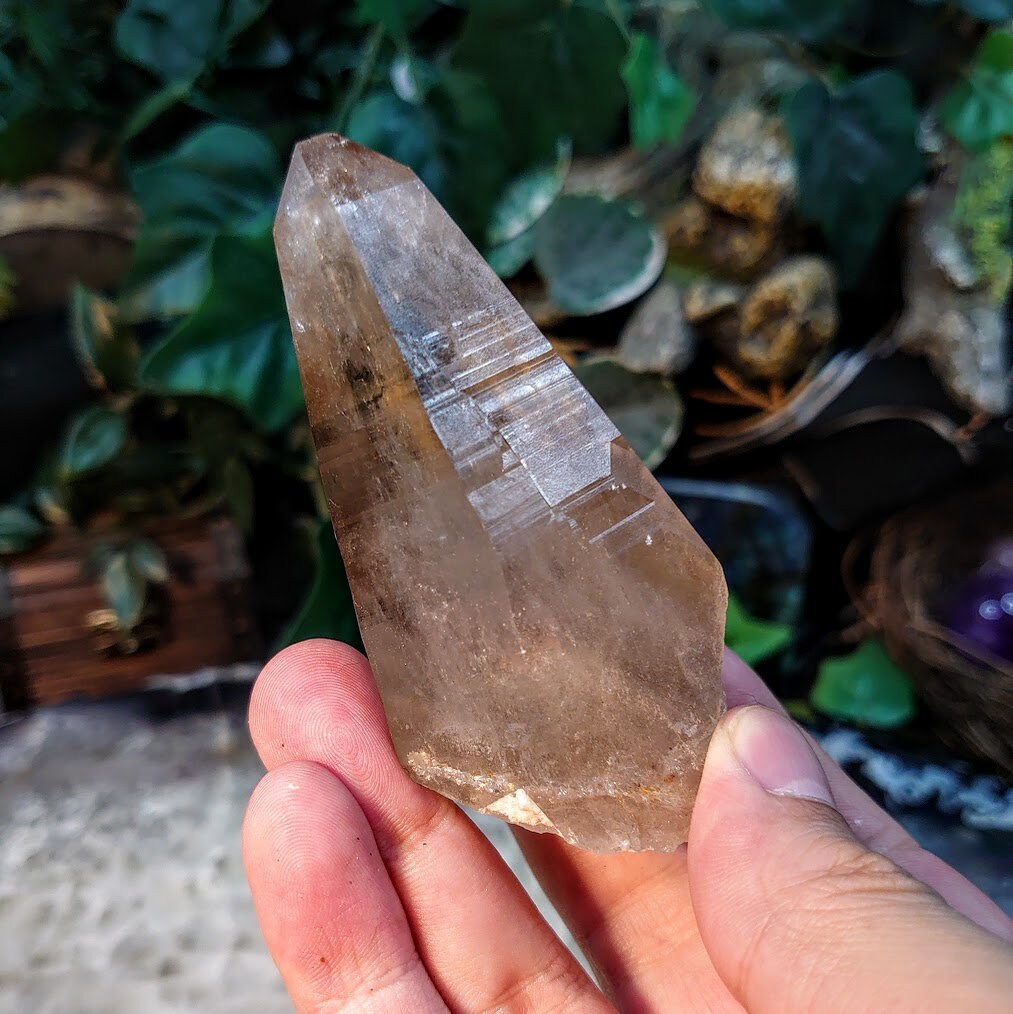 Natural Smoky Quartz Point from Malawi, Africa for Collection / 165g / Home & Altar Decor / Protection / Small Cabinet Class