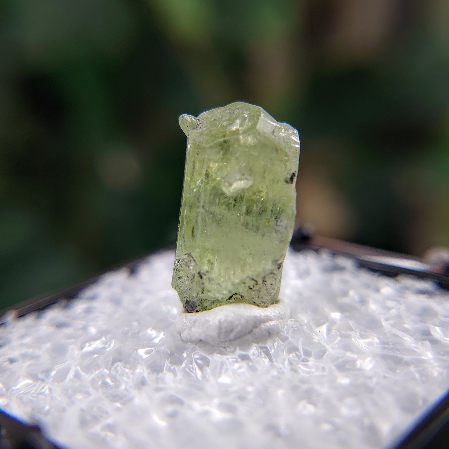 12.30ct Natural Diopside Gemstone from Manyara Region, Tanzania for Crystal Healing / Meditation / Thumbnail Size / Collection / Green Jewel