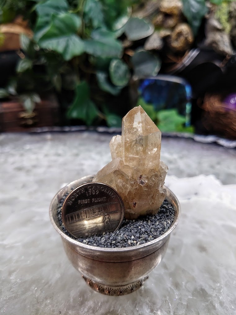 Small Natural Kundalini Congo Citrine Cluster for Altar & Home Decor / 26.22g / Energy Work / Crystal Healing / Miniature Class