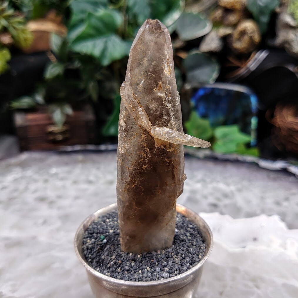 3 3/4" Smoky Quartz Crystal from Malawi, Africa for Collection / 38.60g / Home and Altar Decor / Protection / Crystal Healing