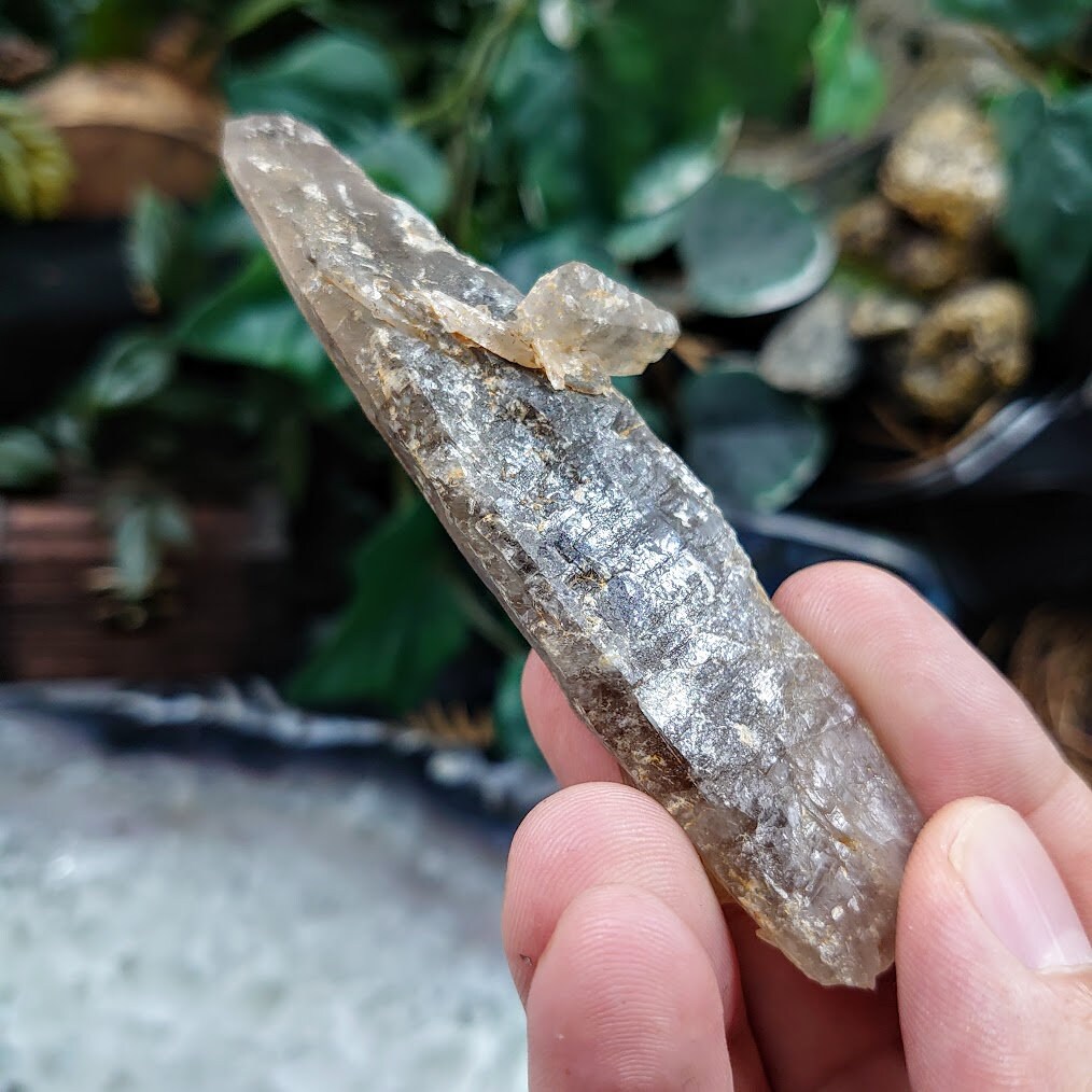 3 3/4" Smoky Quartz Crystal from Malawi, Africa for Collection / 38.60g / Home and Altar Decor / Protection / Crystal Healing