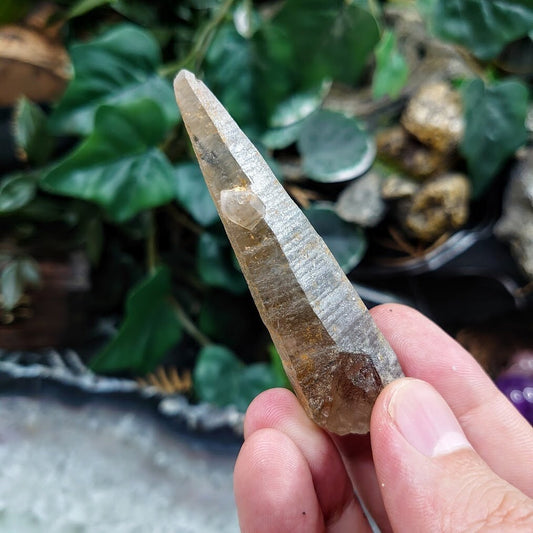 3" Smoky Quartz Needle Point from Malawi, Africa for Collection / 28.79g / Home and Altar Decor / Protection / Crystal Healing