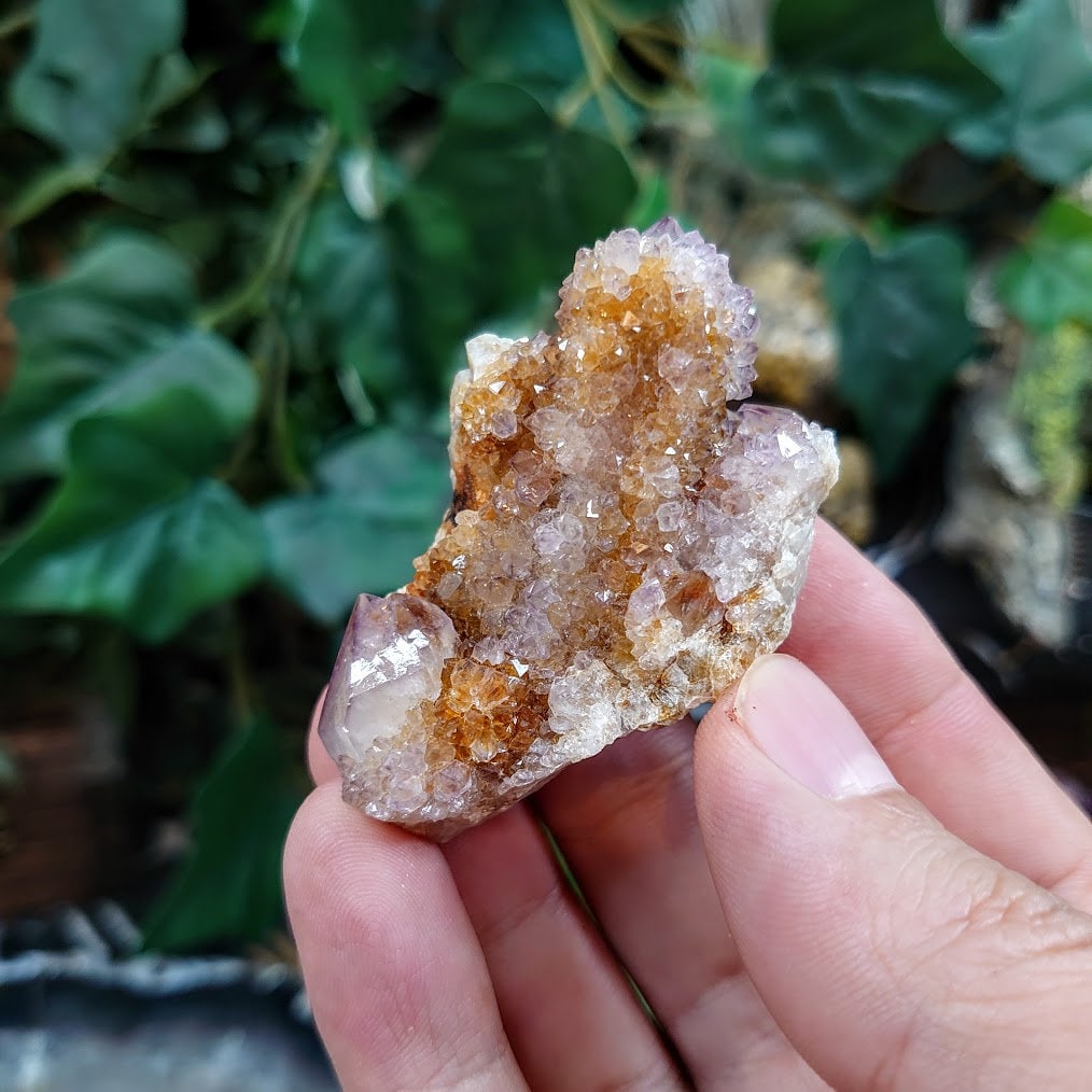 Spirit Quartz Cluster from South Africa / 46.53g / Cactus Quartz / Spirit Amethyst for Crystal Healing / Meditation/ Reiki / Gifting