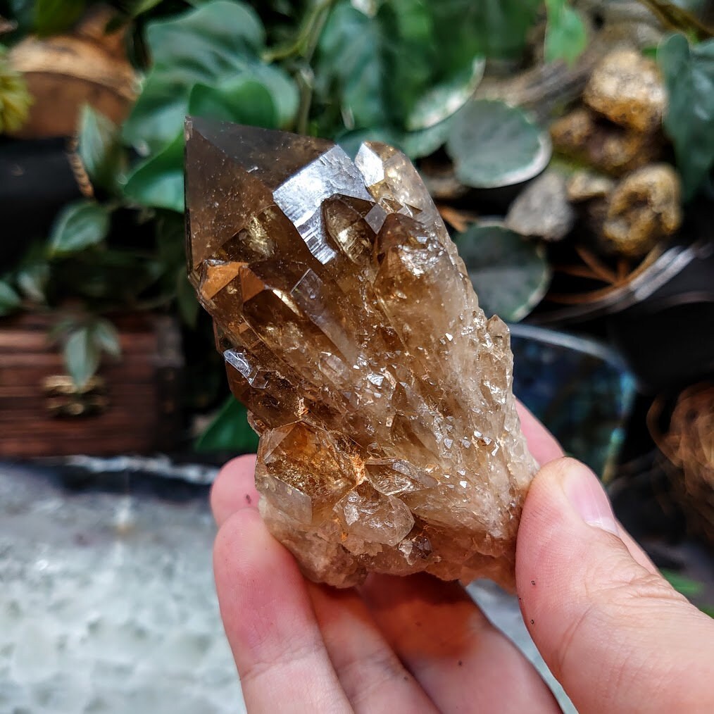 Natural Kundalini Congo Smoky Citrine Cluster for Altar and Home Decor / 222g / Energy Work / Crystal Healing / Reiki