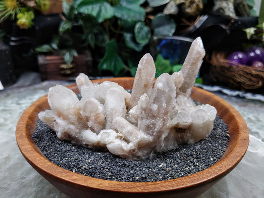 Witch Finger Quartz Cluster from Boekenhouthoek, Mpumalanga, South Africa for Home and Altar Decor / 214g / Reiki / Collection