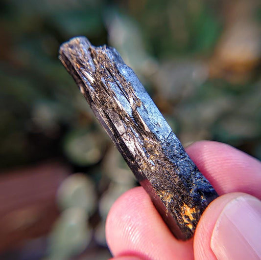 1 3/4" Glossy Black Aegirine Crystal from Malawi, Africa for Crystal Healing / 6.86g / Home and Altar Decor / Negative Protection