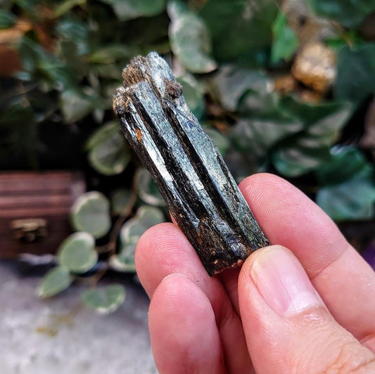 2 1/4" Glossy Black Aegirine Crystal from Malawi, Africa for Crystal Healing / 16.00g / Home and Altar Decor / Negative Protection