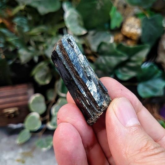 2" Black Aegirine Crystal Rod from Malawi, Africa for Crystal Healing / 22.24g / Home and Altar Decor / Negative Protection