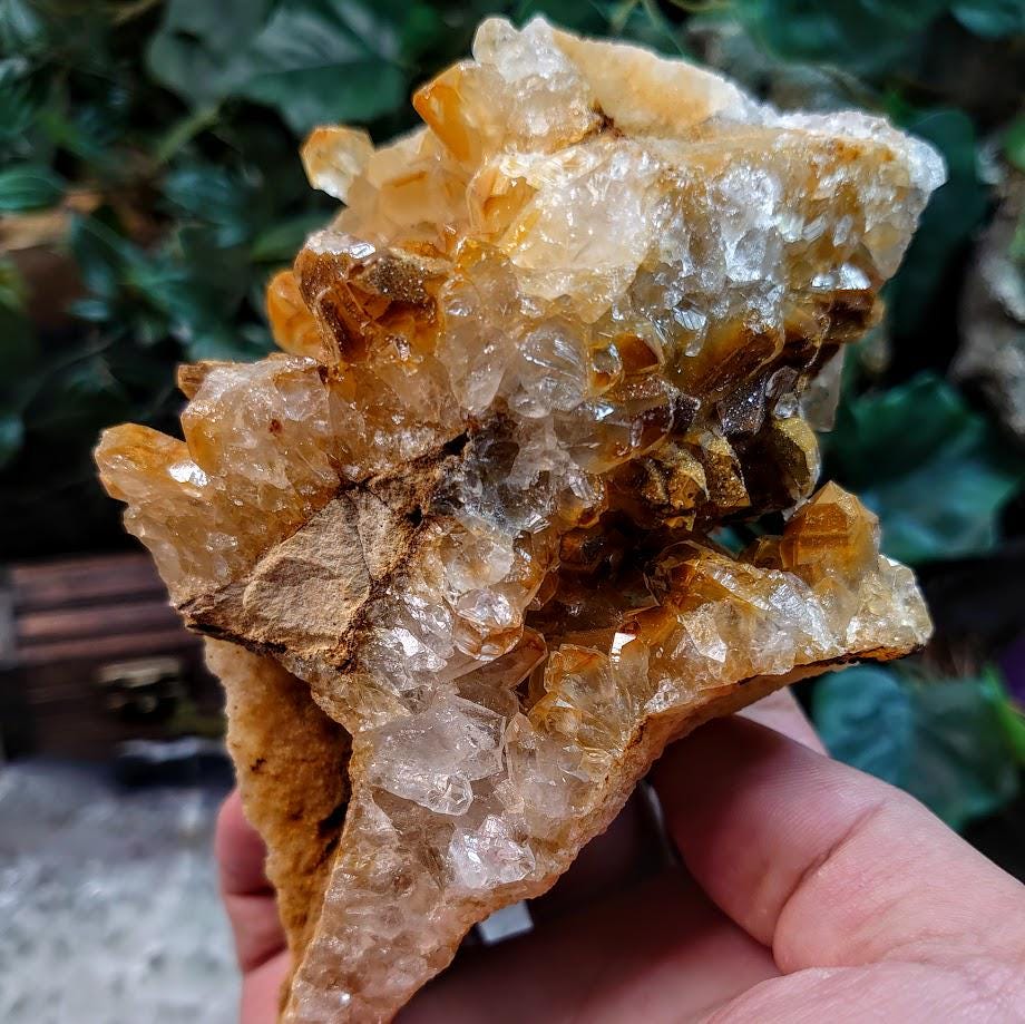 Natural Limonite Golden Healer Quartz/Citrine Cluster on Limestone from Zambia, Africa for Crystal Healing / 558g / Reiki / Home Decor