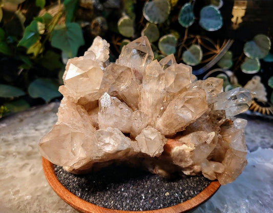 1,549g Large Natural Kundalini Congo Citrine Cluster for Altar and Home Decor / Energy Work / Crystal Healing / Reiki