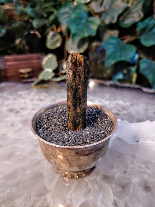 Reserved for Lisa 2" Black Aegirine Crystal Rod from Malawi, Africa for Crystal Healing / 10.2g / Home and Altar Decor / Negative Protection