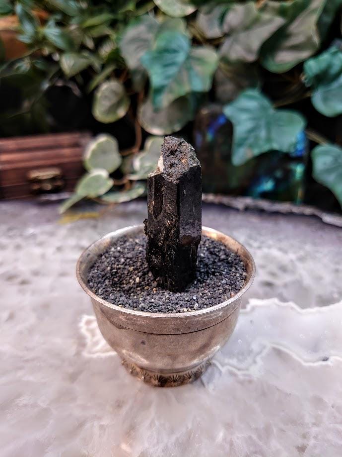 2" Black Aegirine Crystal Rod from Malawi, Africa for Crystal Healing / 22.24g / Home and Altar Decor / Negative Protection