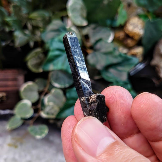 2" Black Aegirine Crystal Rod Cluster from Malawi, Africa for Crystal Healing / 6.61g / Home and Altar Decor / Negative Protection