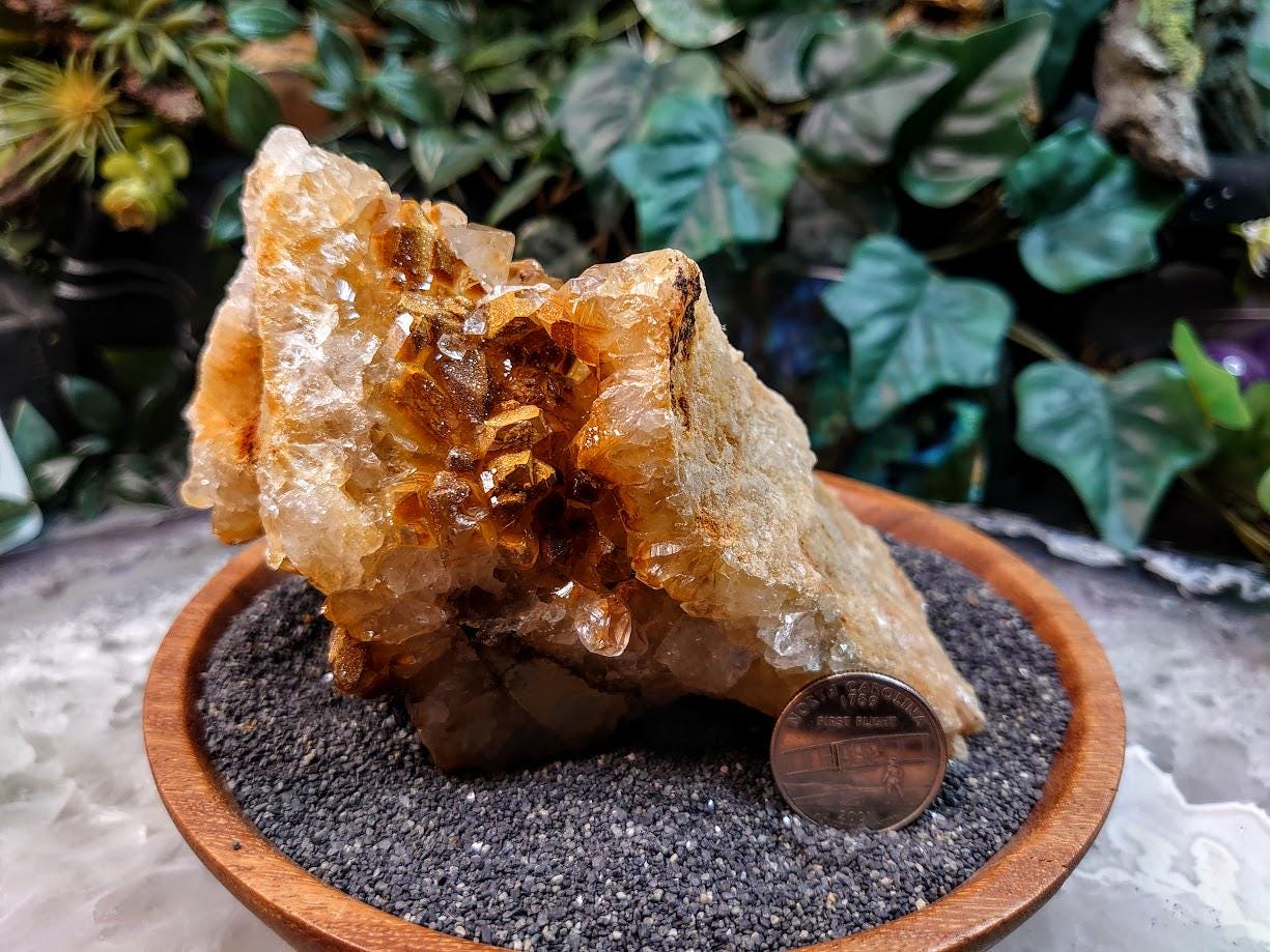 Natural Limonite Golden Healer Quartz/Citrine Cluster on Limestone from Zambia, Africa for Crystal Healing / 558g / Reiki / Home Decor