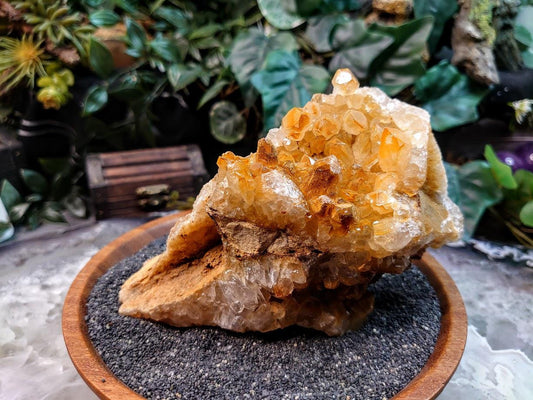 Natural Limonite Golden Healer Quartz/Citrine Cluster on Limestone from Zambia, Africa for Crystal Healing / 558g / Reiki / Home Decor