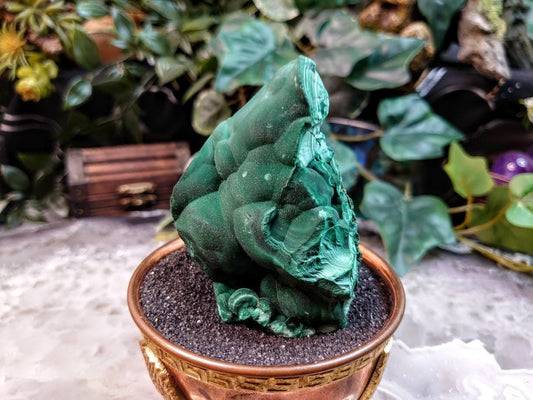 Glittering Botryoidal Malachite Specimen from Kasompe, Congo for Home and Altar Decor / 232g / Collection / Small Cabinet Size