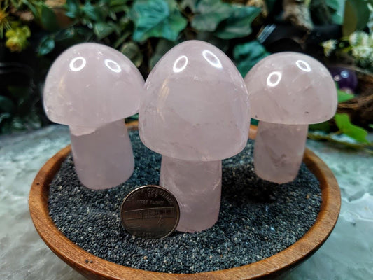 Polished Rose Quartz Mushrooms for Crystal Healing/ Pick Your Mushroom / Reiki/ Meditation/ Crystal & Mineral Collectors