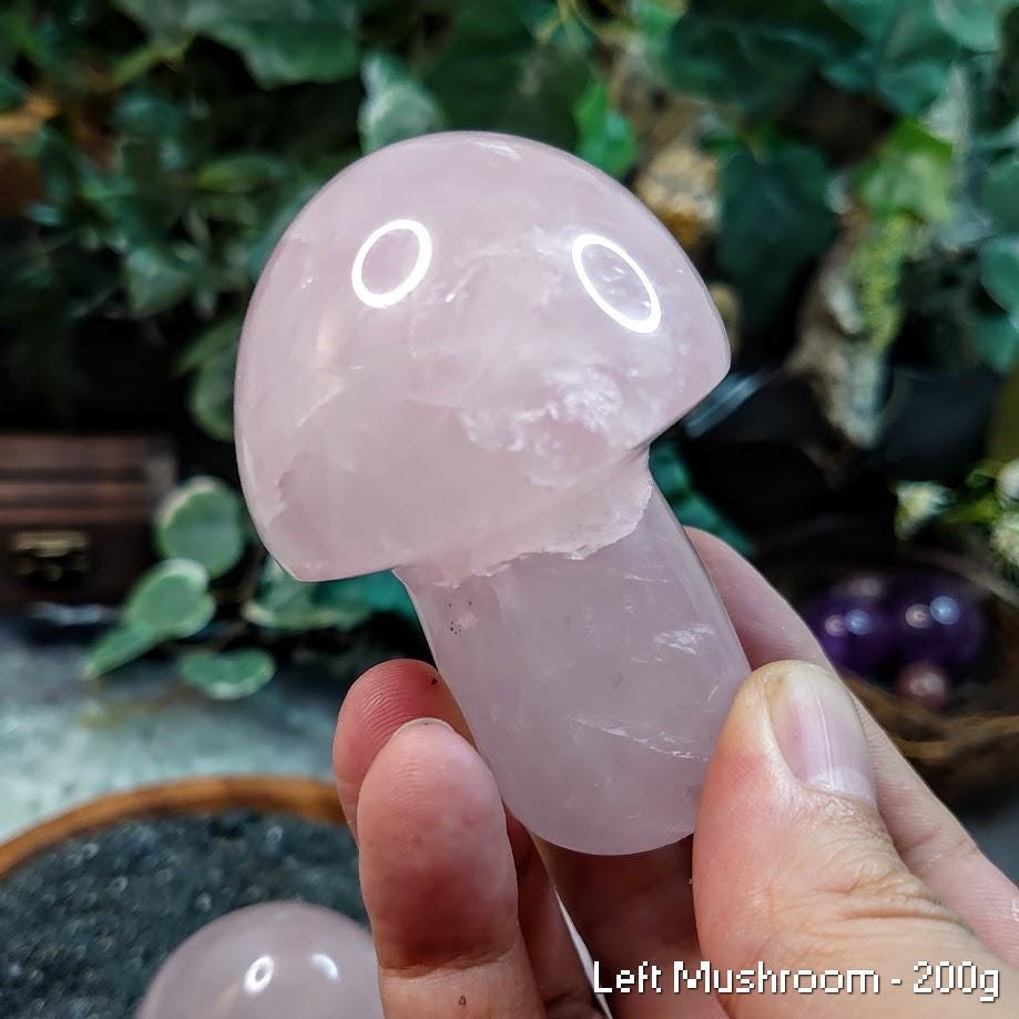 Polished Rose Quartz Mushrooms for Crystal Healing/ Pick Your Mushroom / Reiki/ Meditation/ Crystal & Mineral Collectors