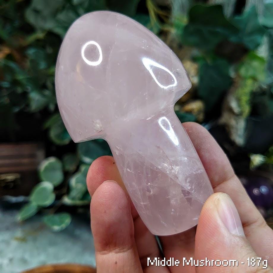 Polished Rose Quartz Mushrooms for Crystal Healing/ Pick Your Mushroom / Reiki/ Meditation/ Crystal & Mineral Collectors