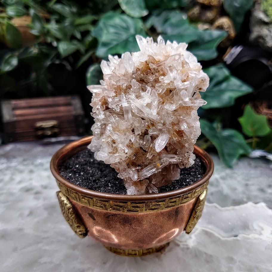 Natural Colombian Clear Quartz Cluster / 195g / for Crystal Healing / Home and Altar Decor / Small Cabinet Size