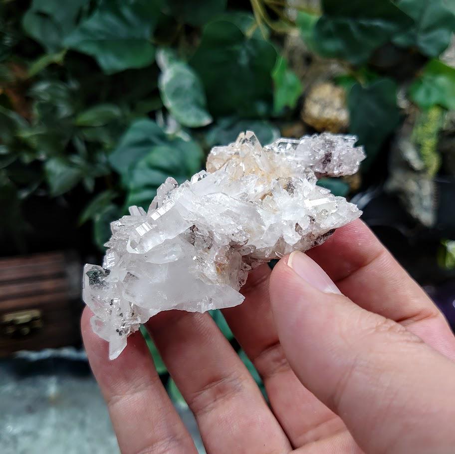 Natural Colombian Clear Quartz Cluster / 47.81g / for Crystal Healing / Home and Altar Decor / Small Cabinet Size