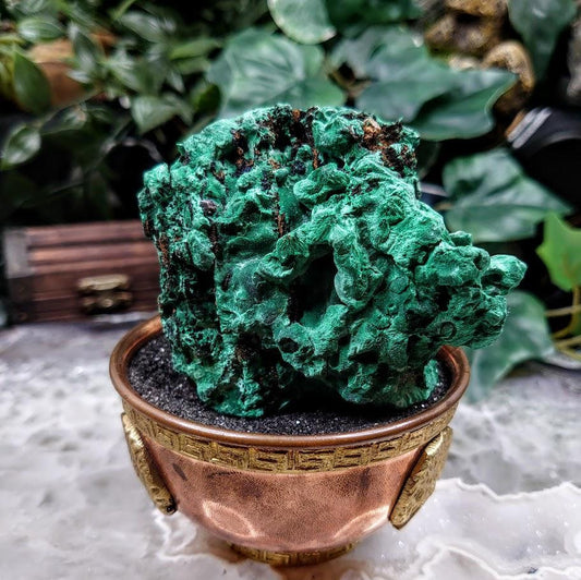 Silky Fibrous Malachite Specimen from Kasompe, Congo for Home and Altar Decor / 276g / Collection / Crystal Healing