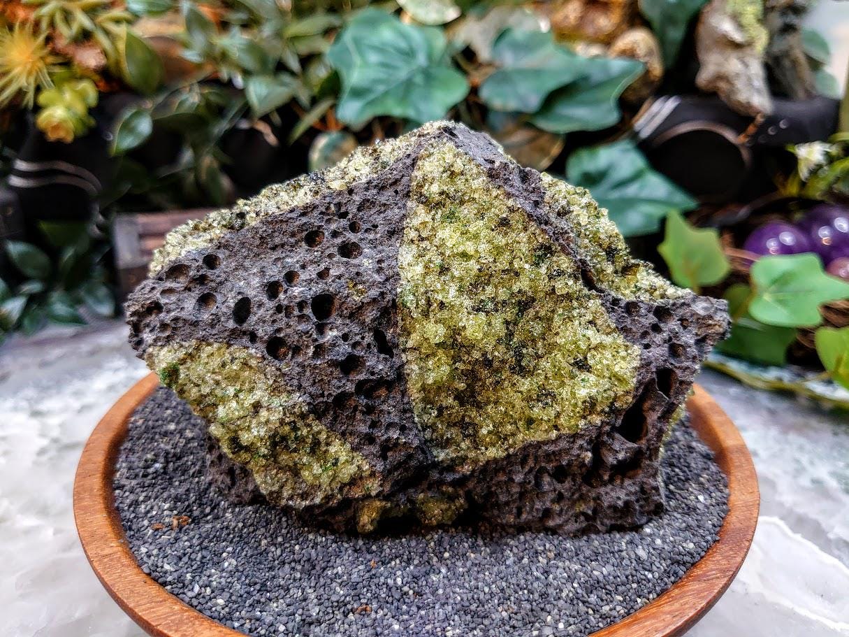 Peridot Druzy with Black Tourmaline on Basalt from Arizona for Home and Altar Decor / 616g / Meditation / Reiki / Gifting / Collection