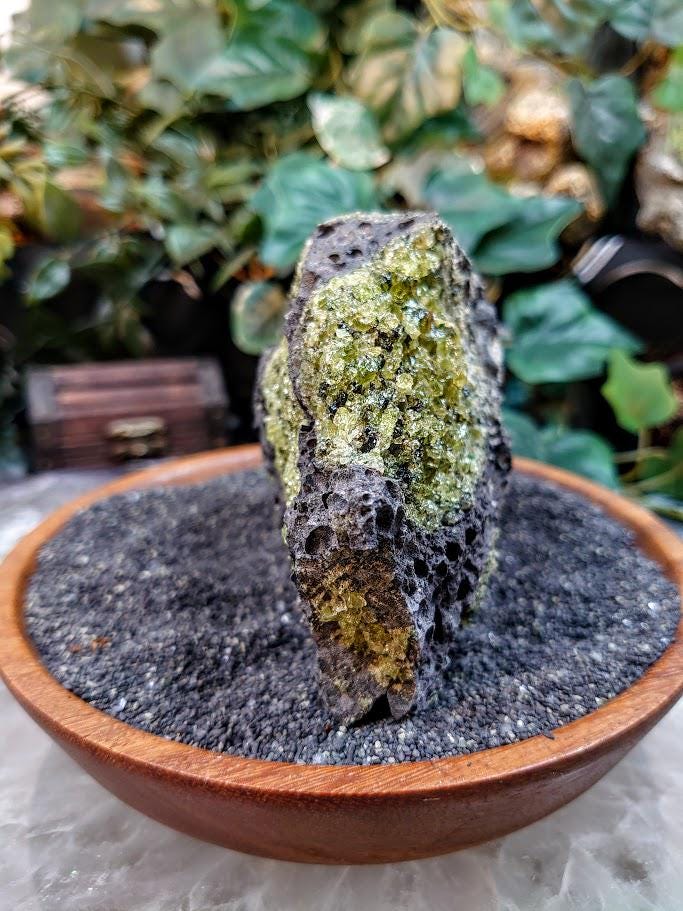 Peridot Druzy with Black Tourmaline on Basalt from Arizona for Home and Altar Decor / 616g / Meditation / Reiki / Gifting / Collection