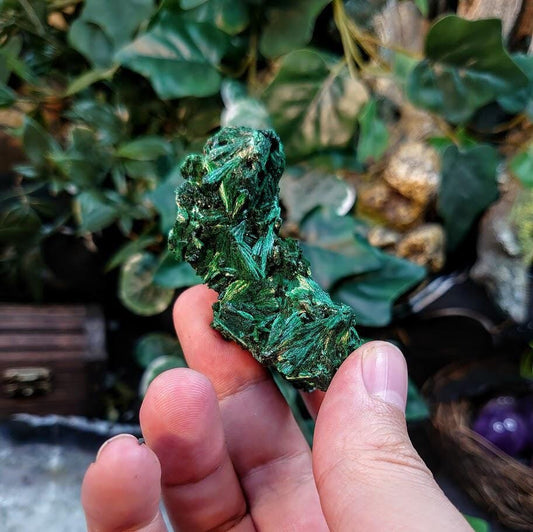 Silky Fibrous Malachite Specimen from Kasompe, Congo for Home and Altar Decor / 71.67g / Collection / Crystal Healing