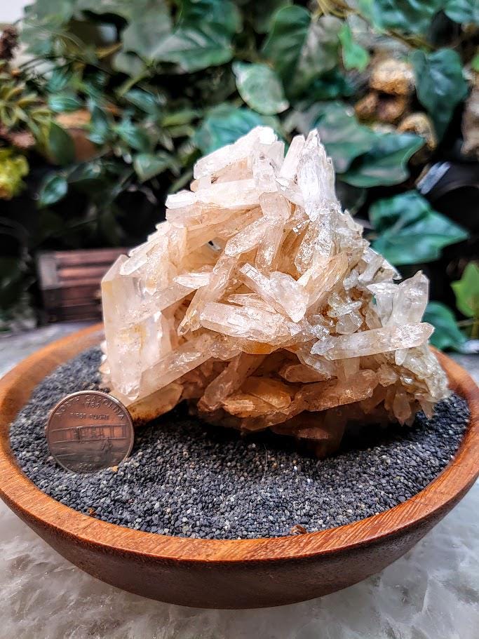 Tabular Faden Quartz Cluster with Halloysite from Colombia / Natural / 334g / Collection / Small Cabinet Specimen