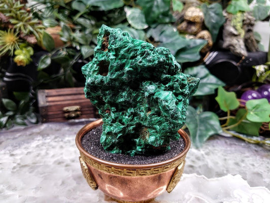 Silky Fibrous Malachite Specimen from Kasompe, Congo for Home and Altar Decor / 294g / Collection / Crystal Healing