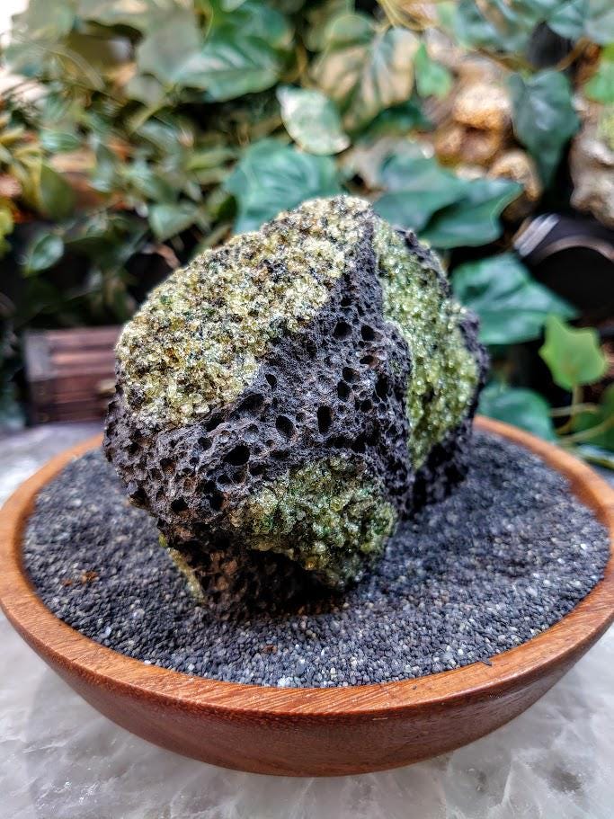 Peridot Druzy with Black Tourmaline on Basalt from Arizona for Home and Altar Decor / 616g / Meditation / Reiki / Gifting / Collection