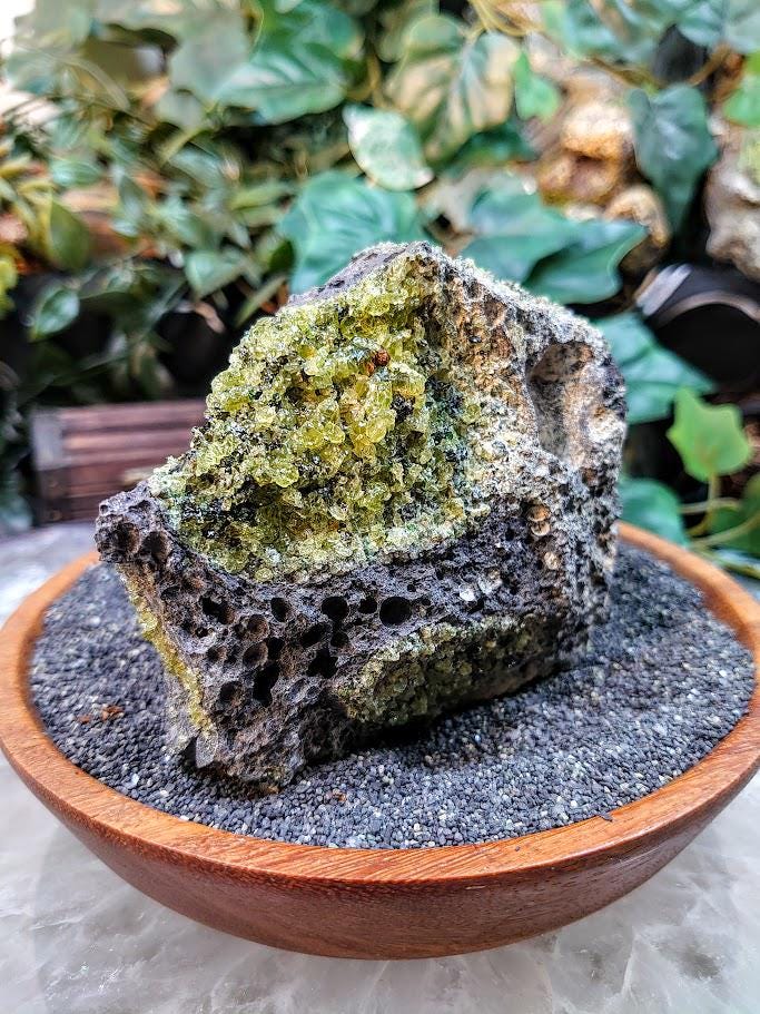 Peridot Druzy with Black Tourmaline on Basalt from Arizona for Home and Altar Decor / 616g / Meditation / Reiki / Gifting / Collection