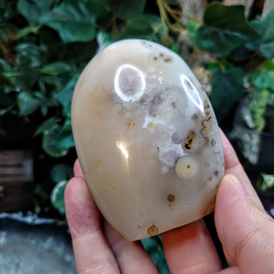 Dendritic Agate Self Standing Free Form from Madagascar for Crystal Healing / Reiki / Meditation / 264g / Home and Altar Decoration